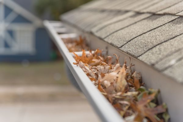 Leaf Barrier Installation in Tarpon Springs